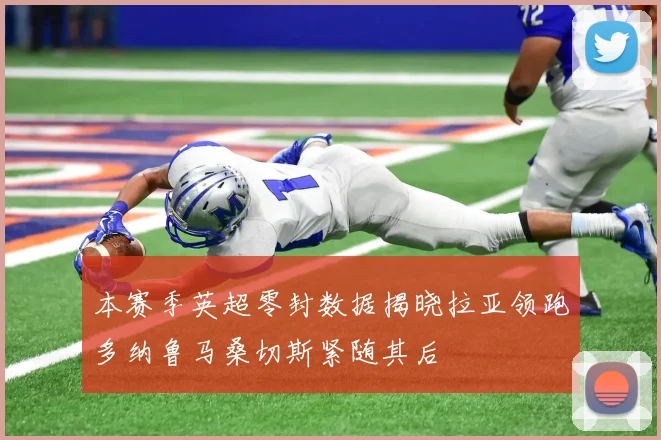 本赛季英超零封数据揭晓拉亚领跑多纳鲁马桑切斯紧随其后